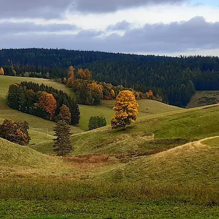 Ferienglueck
